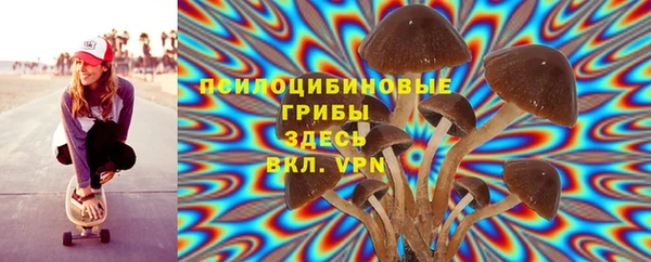ПСИЛОЦИБИНОВЫЕ ГРИБЫ Мегион