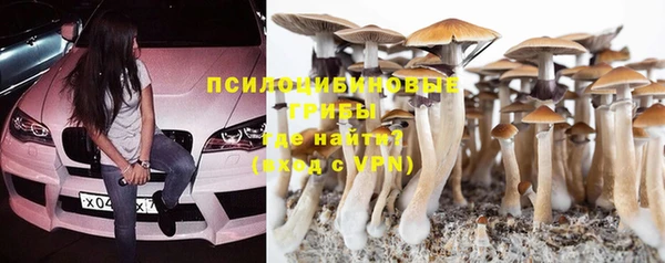 ПСИЛОЦИБИНОВЫЕ ГРИБЫ Мегион