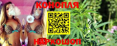 гашик Гатчина
