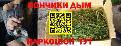 гашик Гатчина