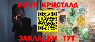 эйфоретик Гай