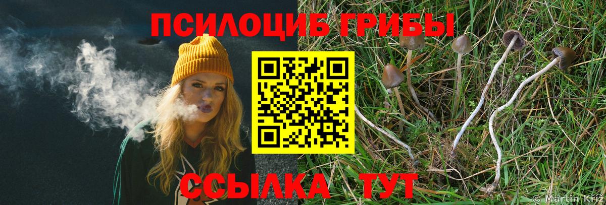 Галлюциногенные грибы Psilocybine cubensis Рязань