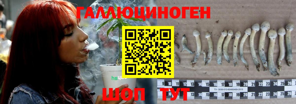 где продают   Вход с VPN  Рязань  Галлюциногенные грибы мухоморы 